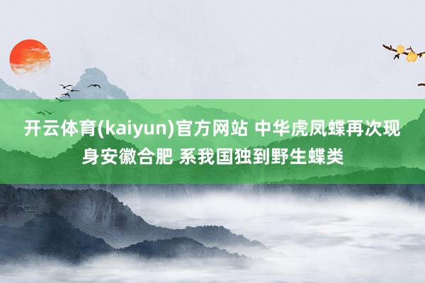 开云体育(kaiyun)官方网站 中华虎凤蝶再次现身安徽合肥 系我国独到野生蝶类