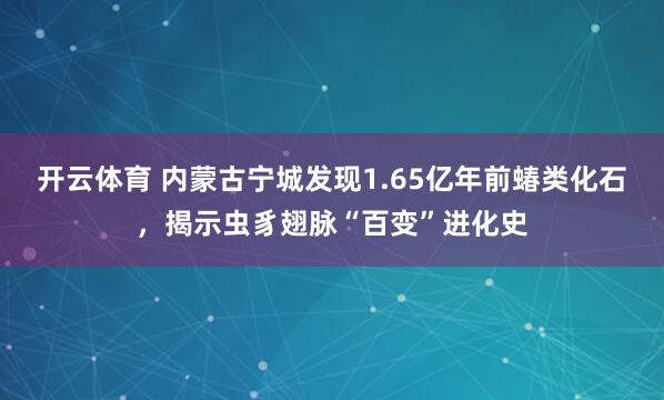 开云体育 内蒙古宁城发现1.65亿年前蝽类化石，揭示虫豸翅脉“百变”进化史