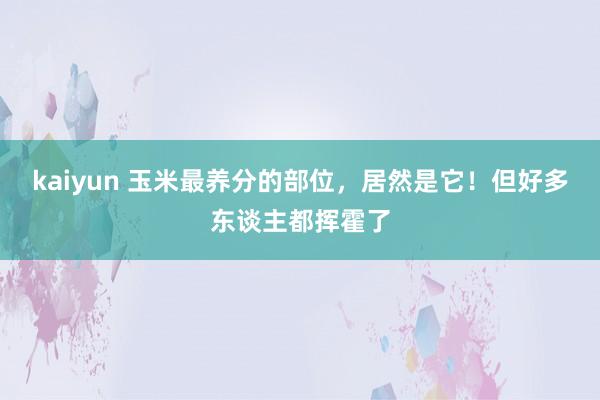 kaiyun 玉米最养分的部位，居然是它！但好多东谈主都挥霍了