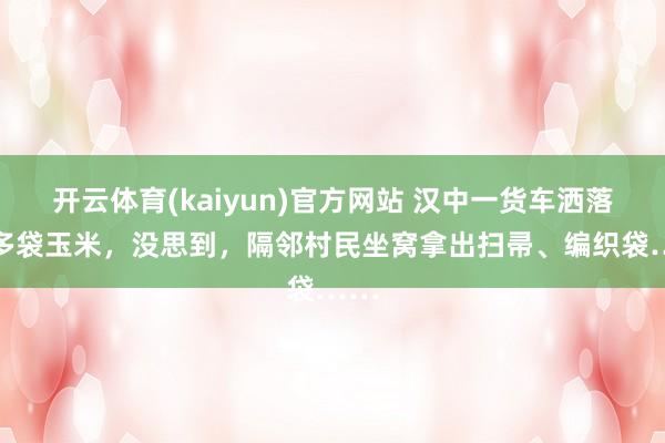 开云体育(kaiyun)官方网站 汉中一货车洒落20多袋玉米，没思到，隔邻村民坐窝拿出扫帚、编织袋……