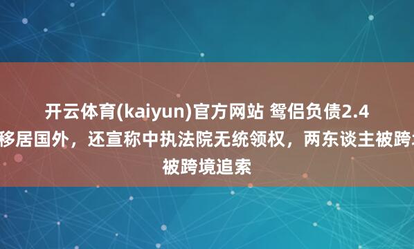 开云体育(kaiyun)官方网站 鸳侣负债2.45亿元移居国外，还宣称中执法院无统领权，两东谈主被跨境追索