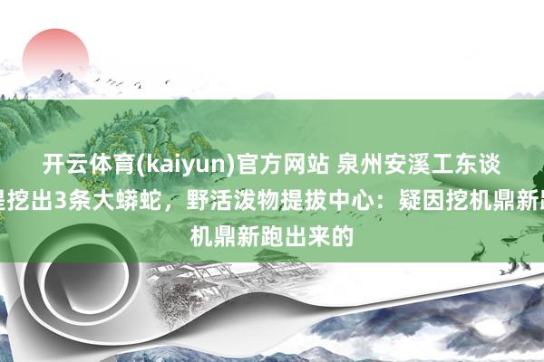 开云体育(kaiyun)官方网站 泉州安溪工东谈主修河堤挖出3条大蟒蛇，野活泼物提拔中心：疑因挖机鼎新跑出来的