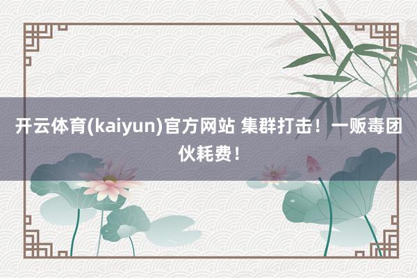 开云体育(kaiyun)官方网站 集群打击！一贩毒团伙耗费！