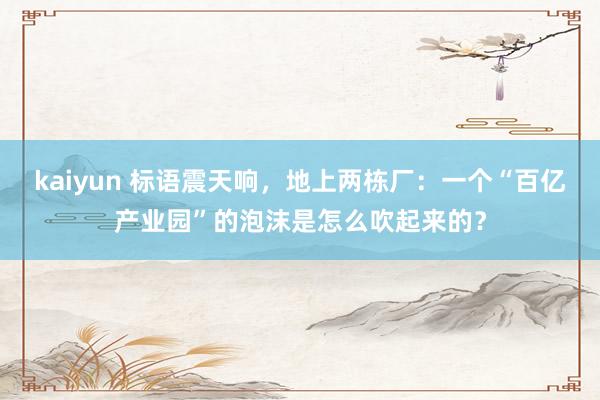 kaiyun 标语震天响，地上两栋厂：一个“百亿产业园”的泡沫是怎么吹起来的？