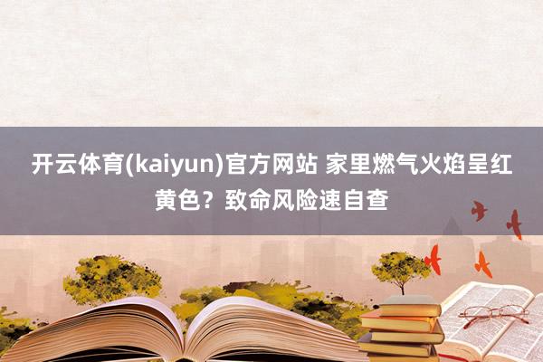 开云体育(kaiyun)官方网站 家里燃气火焰呈红黄色？致命风险速自查