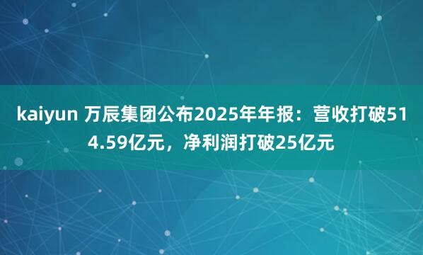 kaiyun 万辰集团公布2025年年报：营收打破514.59亿元，净利润打破25亿元