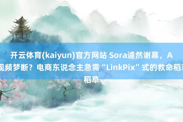 开云体育(kaiyun)官方网站 Sora遽然谢幕，AI视频梦断？电商东说念主急需“LinkPix”式的救命稻草