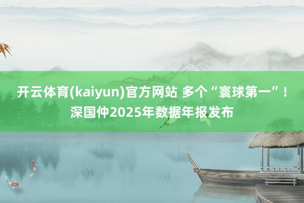 开云体育(kaiyun)官方网站 多个“寰球第一”！深国仲2025年数据年报发布