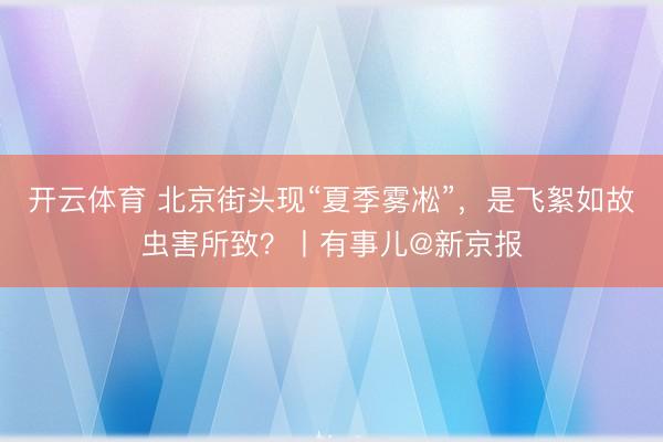 开云体育 北京街头现“夏季雾凇”，是飞絮如故虫害所致？丨有事