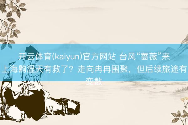 开云体育(kaiyun)官方网站 台风“蔷薇”来了！上海齁湿天有救了？走向冉冉围聚，但后续旅途有变数