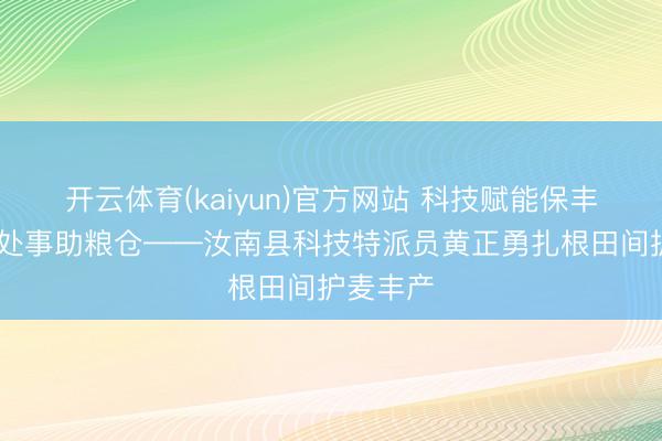 开云体育(kaiyun)官方网站 科技赋能保丰充 农技处事助粮仓——汝南县科技特派员黄正勇扎根田间护麦丰产