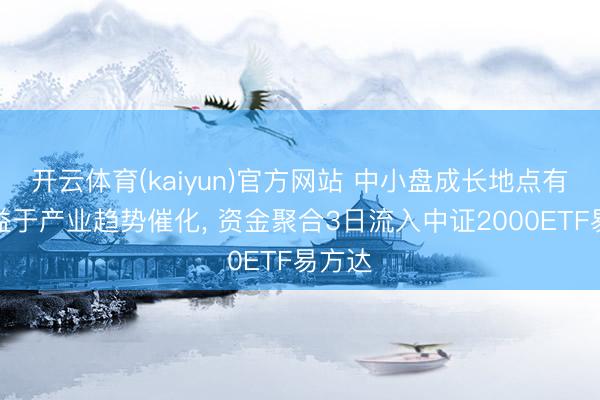 开云体育(kaiyun)官方网站 中小盘成长地点有望受益于产业趋势催化， 资金聚合3日流入中证2000ETF易方达