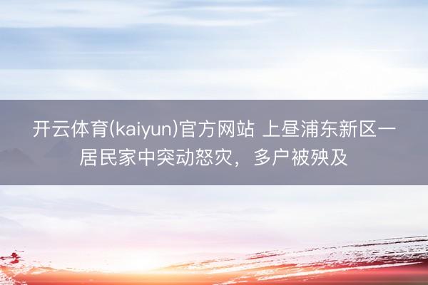 开云体育(kaiyun)官方网站 上昼浦东新区一居民家中突动怒灾，多户被殃及