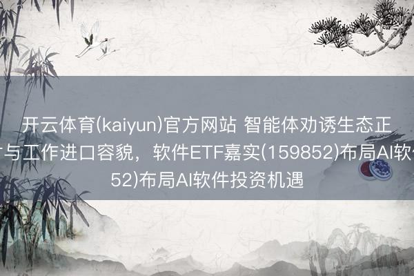 开云体育(kaiyun)官方网站 智能体劝诱生态正在重塑支付与工作进口容貌，软件ETF嘉实(159852)布局AI软件投资机遇